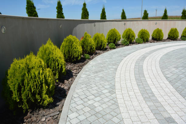 Reasons to Select Us for Your Driveway Paving Requirements in Jackpot, NV